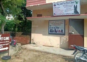 Dog-and-vet-clinic-Veterinary-hospitals-Basharatpur-gorakhpur-Uttar-pradesh-1