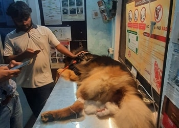 Dog-and-vet-clinic-Veterinary-hospitals-Basharatpur-gorakhpur-Uttar-pradesh-3