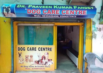 Dog-care-center-Veterinary-hospitals-Patna-Bihar-1