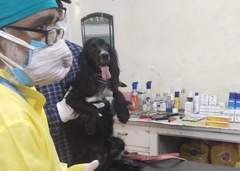 Dog-care-clinic-Veterinary-hospitals-Varanasi-Uttar-pradesh-2