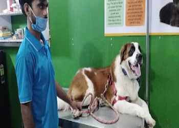 Dog-cat-care-center-Veterinary-hospitals-Lucknow-Uttar-pradesh-2
