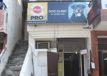 Dog-clinic-Veterinary-hospitals-Panipat-Haryana-1