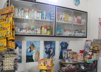 Dog-clinic-Veterinary-hospitals-Panipat-Haryana-3