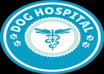 Dog-hospital-Veterinary-hospitals-Patna-Bihar-1