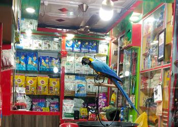 Dog-point-Pet-stores-Agartala-Tripura-3