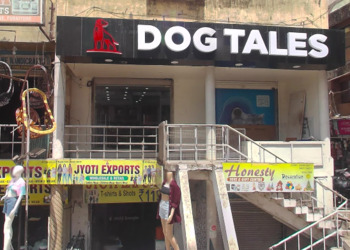 Dog-tales-Pet-stores-Vadodara-Gujarat-1