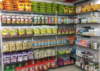 Dog-zone-Pet-stores-Sabarmati-ahmedabad-Gujarat-2