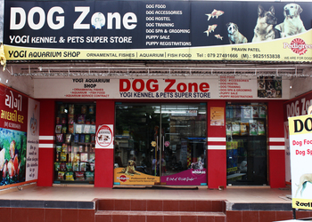 Dog-zone-Pet-stores-Shahibaug-ahmedabad-Gujarat-1
