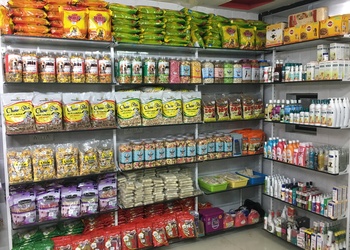 Dog-zone-Pet-stores-Shahibaug-ahmedabad-Gujarat-2
