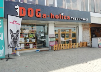 Doga-holics-the-pet-shop-Pet-stores-Vadodara-Gujarat-1
