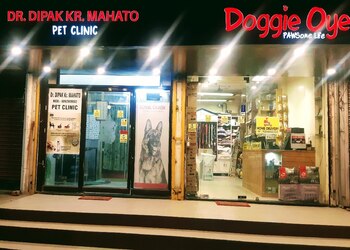 Doggie-oye-Pet-stores-Bistupur-jamshedpur-Jharkhand-1