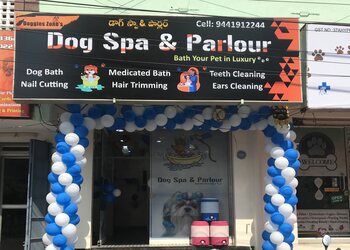 Doggies-zone-and-medicals-Pet-stores-Guntur-Andhra-pradesh