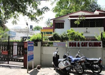 Dogs-and-cats-clinic-Veterinary-hospitals-Bhopal-Madhya-pradesh-1