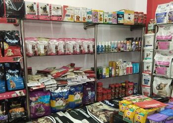 Dogs-heaven-Pet-stores-Malviya-nagar-jaipur-Rajasthan-3