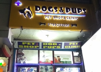 Dogs-pups-pet-shop-clinic-Pet-stores-Aliganj-lucknow-Uttar-pradesh-1