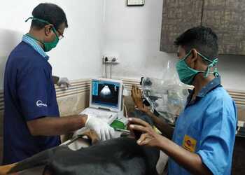 Dr-amol-salankars-dog-clinic-Veterinary-hospitals-Civil-lines-nagpur-Maharashtra-2
