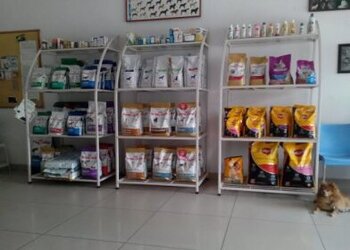 Dr-angela-lobos-veterinary-clinic-Veterinary-hospitals-Vadodara-Gujarat-3