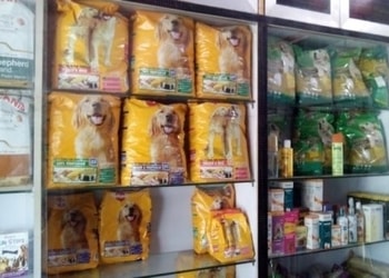 Dr-bansal-pet-shop-Pet-stores-Agra-Uttar-pradesh-3