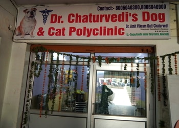 Dr-chaturvedis-dog-cat-polyclinic-Veterinary-hospitals-Agra-Uttar-pradesh-1