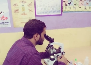 Dr-chaturvedis-dog-cat-polyclinic-Veterinary-hospitals-Agra-Uttar-pradesh-3