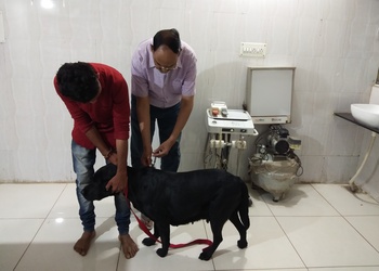 Dr-gautams-dog-clinic-and-hospital-Veterinary-hospitals-Ahmedabad-Gujarat-3