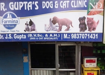 Dr-guptas-dog-cat-clinic-Veterinary-hospitals-Aligarh-Uttar-pradesh-1