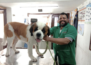 Dr-kochars-pets-mart-Veterinary-hospitals-Chandigarh-Chandigarh-3