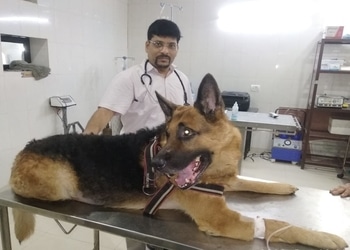 Dr-ln-guptas-pets-and-vets-dog-hospital-Veterinary-hospitals-Agra-Uttar-pradesh-2
