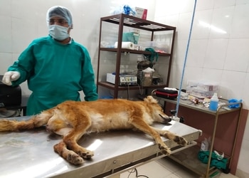 Dr-ln-guptas-pets-and-vets-dog-hospital-Veterinary-hospitals-Agra-Uttar-pradesh-3