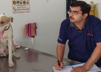 Dr-ninad-yagnik-veterinary-clinic-Veterinary-hospitals-Bhavnagar-Gujarat-2
