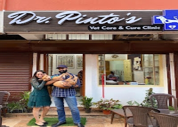 Dr-pintos-vet-care-and-cure-clinic-Veterinary-hospitals-Panaji-Goa-1