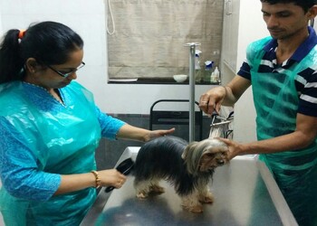 Dr-sangeeta-vengsarkar-shah-pawsitive-wellness-center-Veterinary-hospitals-Dadar-mumbai-Maharashtra-3