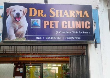 Dr-sharma-pet-clinic-Veterinary-hospitals-Udaipur-Rajasthan-1