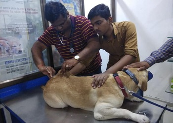 Dr-sonis-pet-clinic-Veterinary-hospitals-Adajan-surat-Gujarat-2