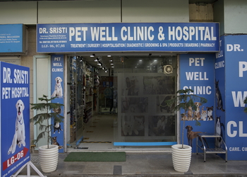 Dr-sristi-pet-well-clinic-hospital-Veterinary-hospitals-Gurugram-Haryana-1