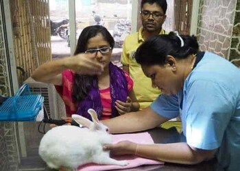 Dr-sunetras-petvet-veterinary-clinic-Veterinary-hospitals-Borivali-mumbai-Maharashtra-2