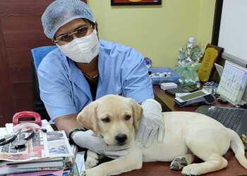 Dr-tina-giris-vet-clinic-Veterinary-hospitals-Ahmedabad-Gujarat-2