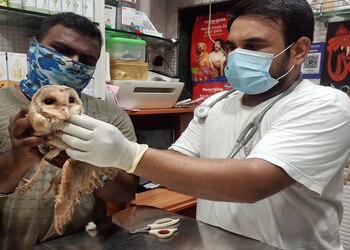 Dr-ukales-veterinary-pet-health-clinic-Veterinary-hospitals-Bandra-mumbai-Maharashtra-2