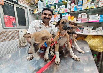 Dr-ukales-veterinary-pet-health-clinic-Veterinary-hospitals-Bandra-mumbai-Maharashtra-3