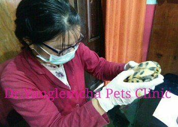 Dr-yanglemcha-pets-clinic-Veterinary-hospitals-Imphal-Manipur-2