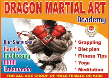 Dragon-martial-arts-academy-Martial-arts-school-Varanasi-Uttar-pradesh-1