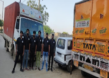 Dtc-express-packers-and-movers-Packers-and-movers-Mayur-vihar-delhi-Delhi-2