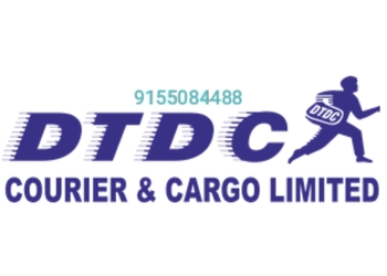 Dtdc-blue-dart-courier-service-Courier-services-Phulwari-sharif-patna-Bihar-1