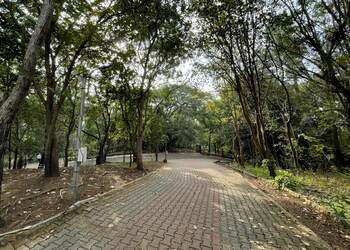 Durga-tekdi-Public-parks-Pimpri-chinchwad-Maharashtra-3