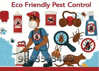 Eco-friendly-pest-control-Pest-control-services-Balewadi-pune-Maharashtra-1