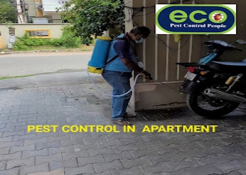 Eco-pest-control-people-Pest-control-services-Gandhipuram-coimbatore-Tamil-nadu-2