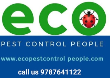 Eco-pest-control-people-Pest-control-services-Rs-puram-coimbatore-Tamil-nadu-1