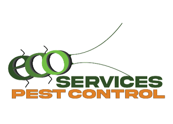 Eco-services-pest-control-Pest-control-services-Powai-mumbai-Maharashtra-1