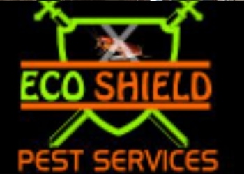 Eco-shield-pest-services-Pest-control-services-Meerut-Uttar-pradesh-1