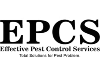Effective-pest-control-services-Pest-control-services-Gandhinagar-Gujarat-1